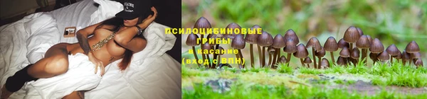 дистиллят марихуана Заволжск