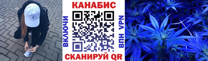 продажа наркотиков  Гдов  Конопля сатива 